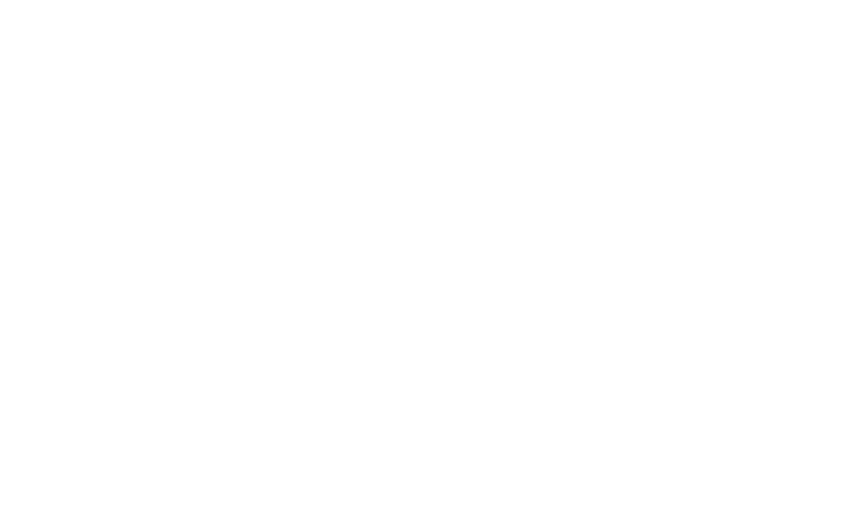 Logo DataScout
